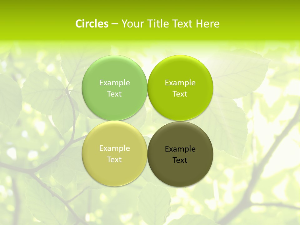 Trees Summer Spring PowerPoint Template