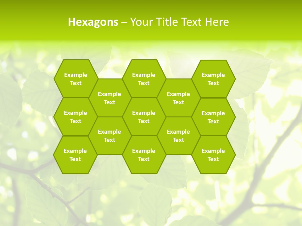 Trees Summer Spring PowerPoint Template
