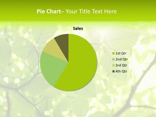 Trees Summer Spring PowerPoint Template