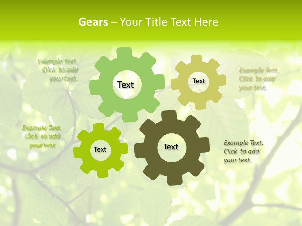 Trees Summer Spring PowerPoint Template