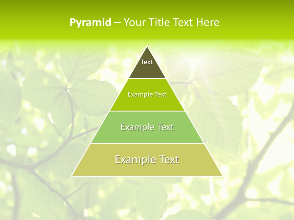 Trees Summer Spring PowerPoint Template