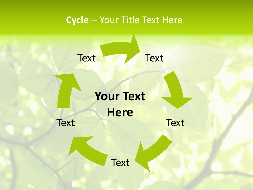 Trees Summer Spring PowerPoint Template