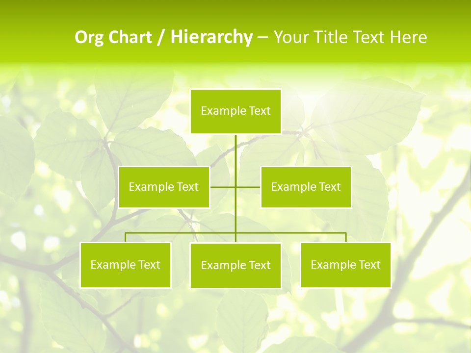 Trees Summer Spring PowerPoint Template