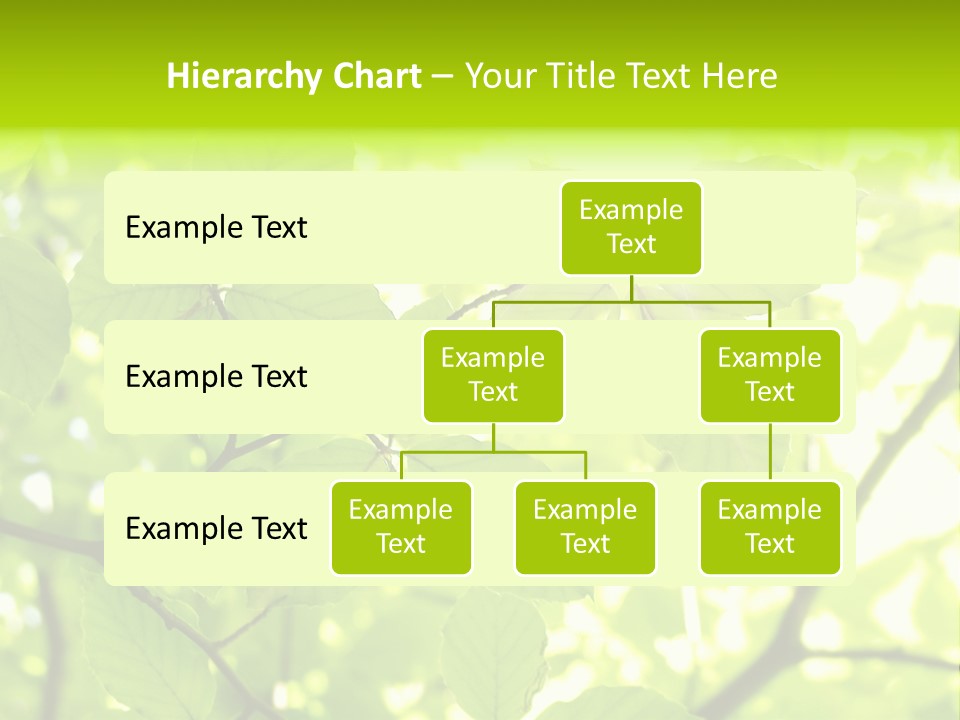 Trees Summer Spring PowerPoint Template