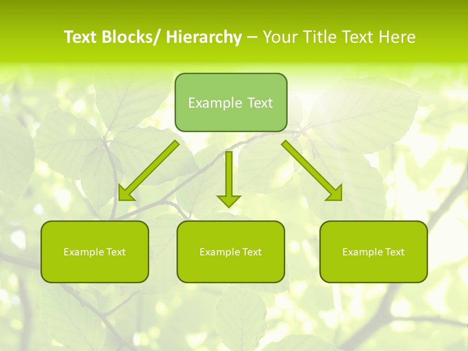 Trees Summer Spring PowerPoint Template