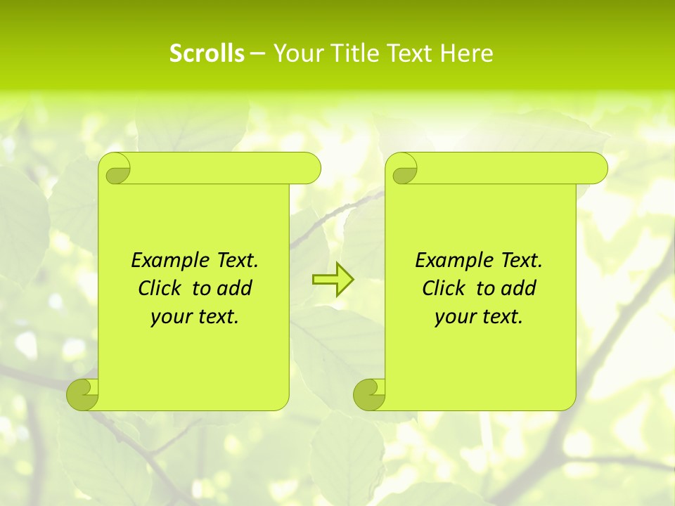 Trees Summer Spring PowerPoint Template