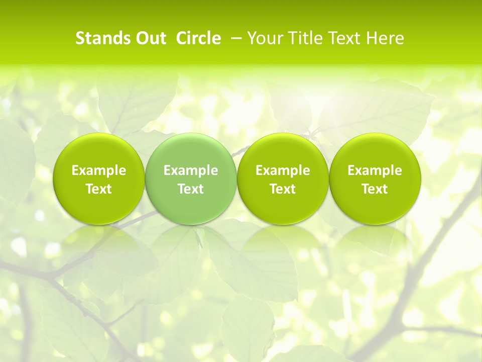 Trees Summer Spring PowerPoint Template