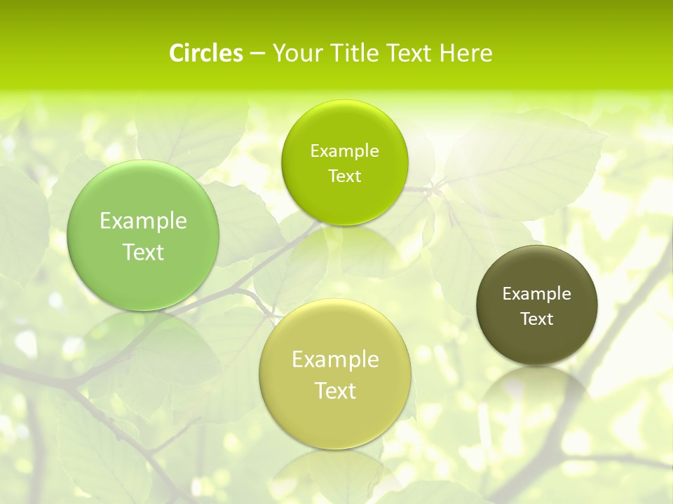 Trees Summer Spring PowerPoint Template