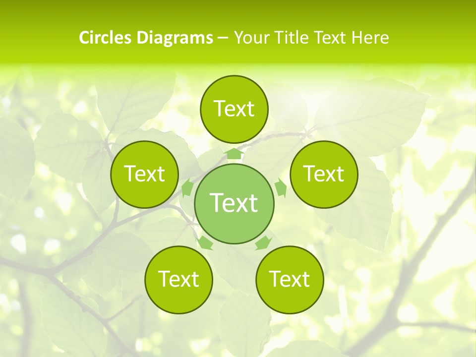 Trees Summer Spring PowerPoint Template