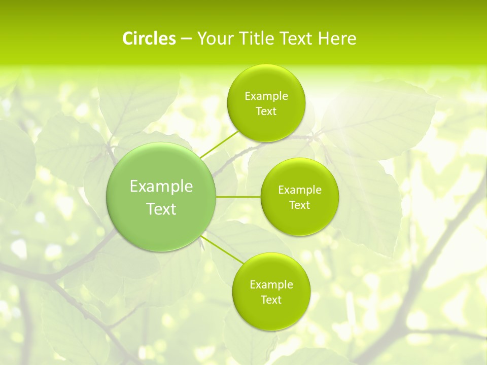 Trees Summer Spring PowerPoint Template