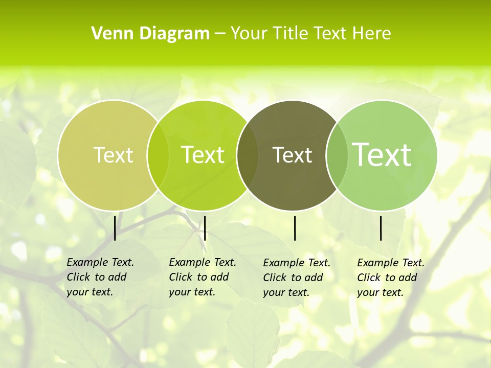 Trees Summer Spring PowerPoint Template