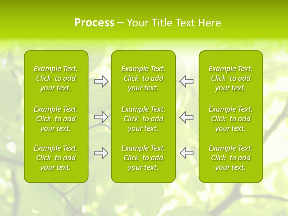 Trees Summer Spring PowerPoint Template