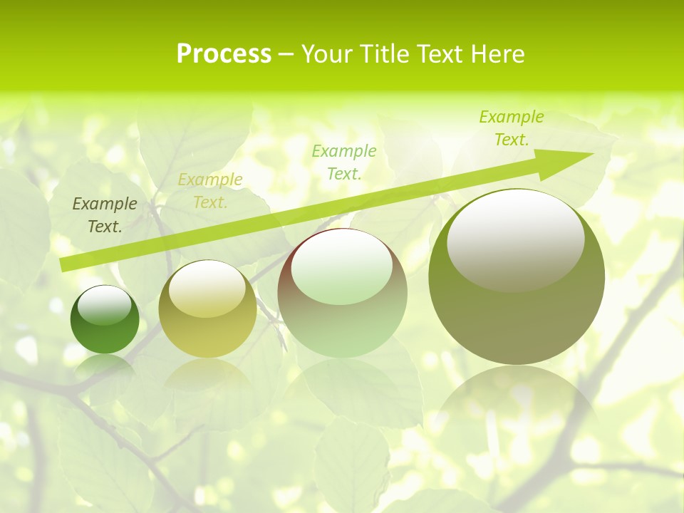 Trees Summer Spring PowerPoint Template