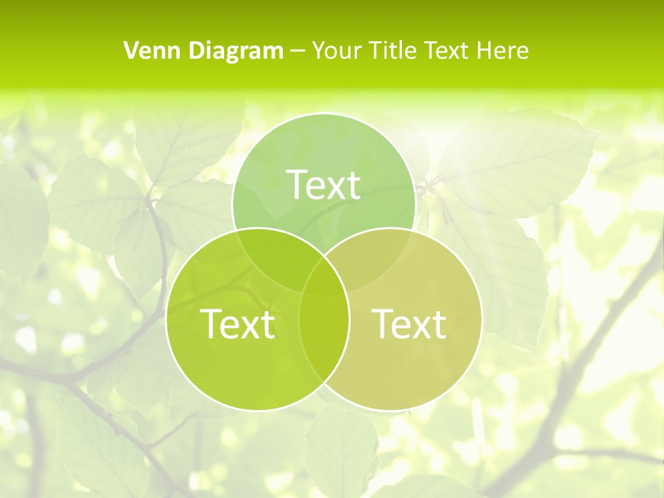 Trees Summer Spring PowerPoint Template