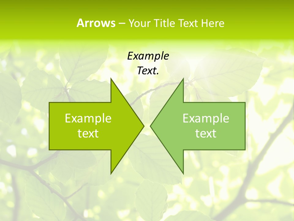 Trees Summer Spring PowerPoint Template