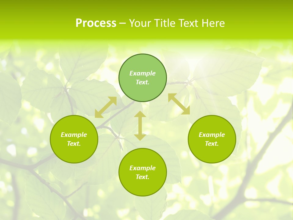 Trees Summer Spring PowerPoint Template