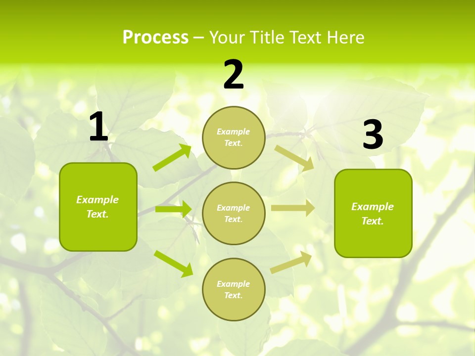 Trees Summer Spring PowerPoint Template