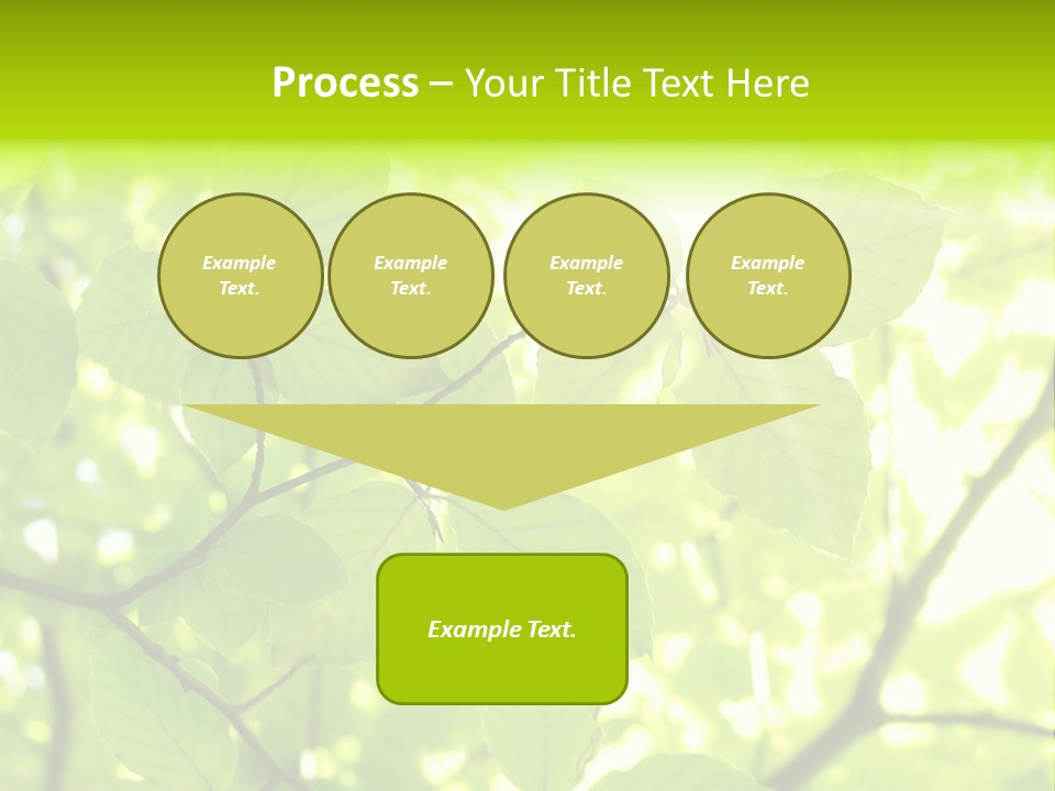 Trees Summer Spring PowerPoint Template