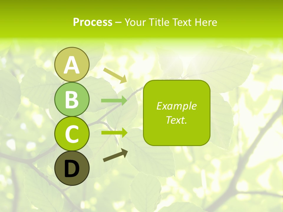 Trees Summer Spring PowerPoint Template