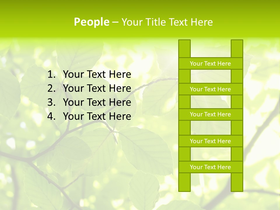 Trees Summer Spring PowerPoint Template