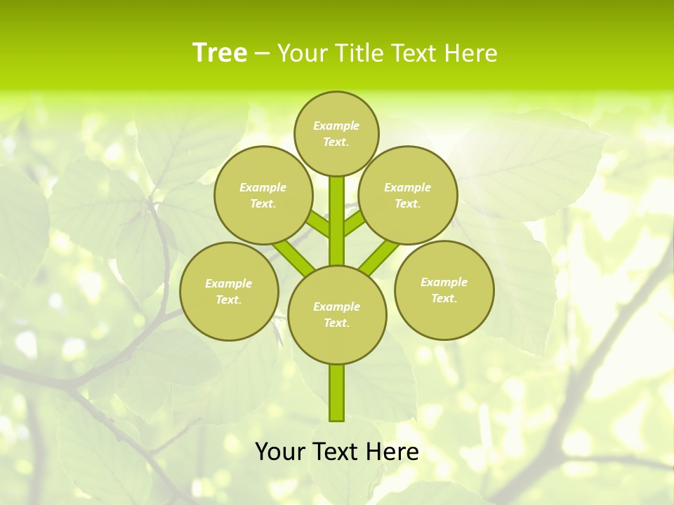 Trees Summer Spring PowerPoint Template