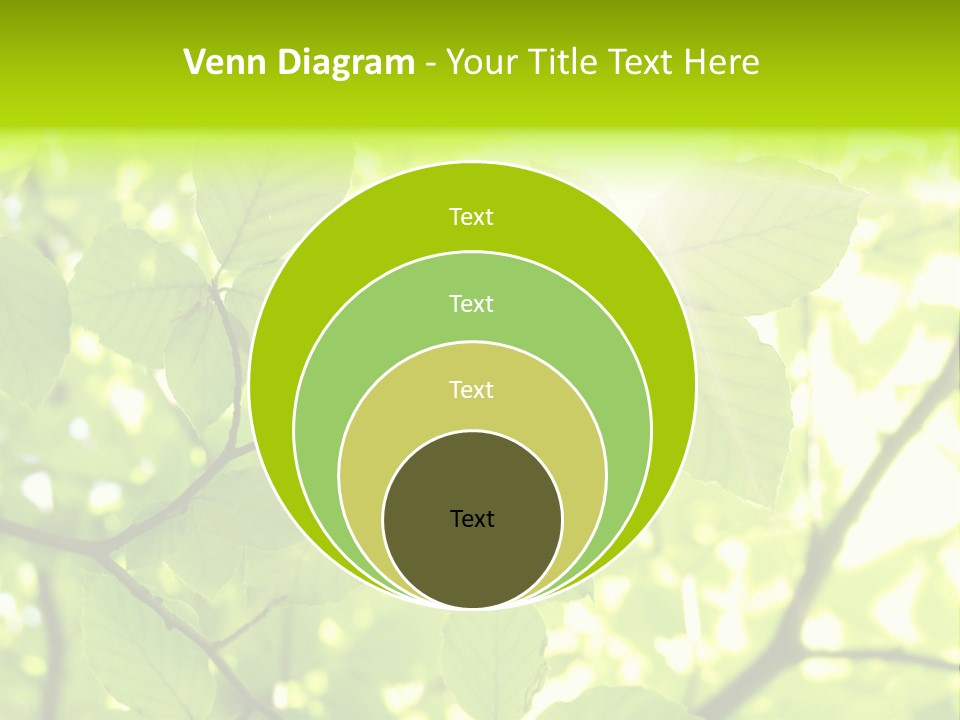 Trees Summer Spring PowerPoint Template