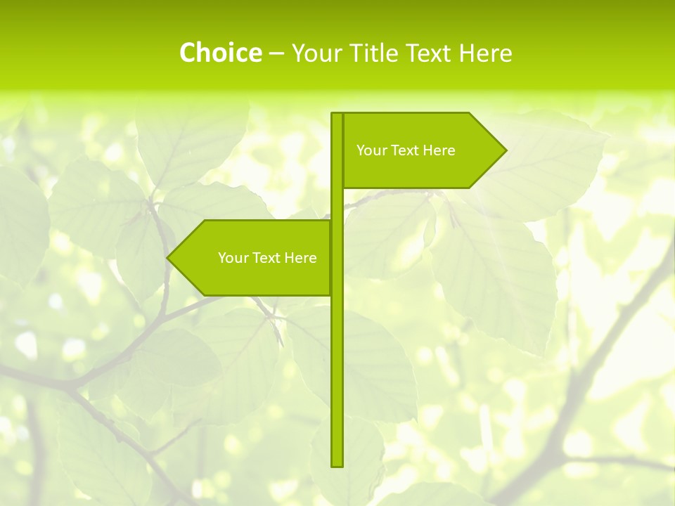 Trees Summer Spring PowerPoint Template
