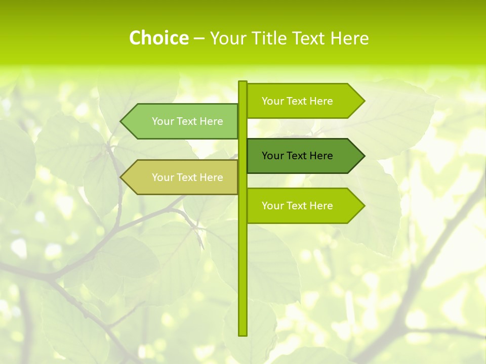 Trees Summer Spring PowerPoint Template