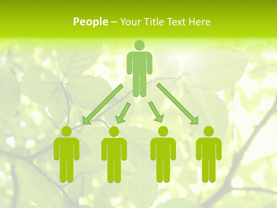 Trees Summer Spring PowerPoint Template