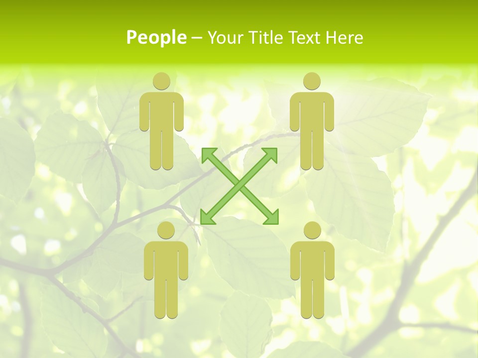 Trees Summer Spring PowerPoint Template