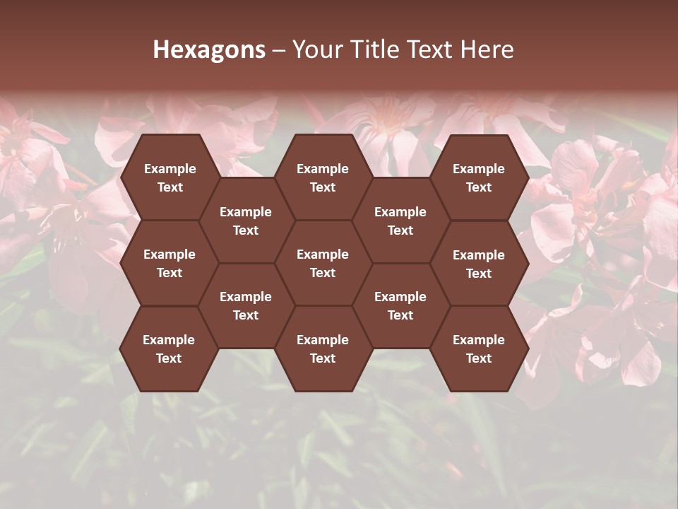 Colourful Plant Postcard PowerPoint Template