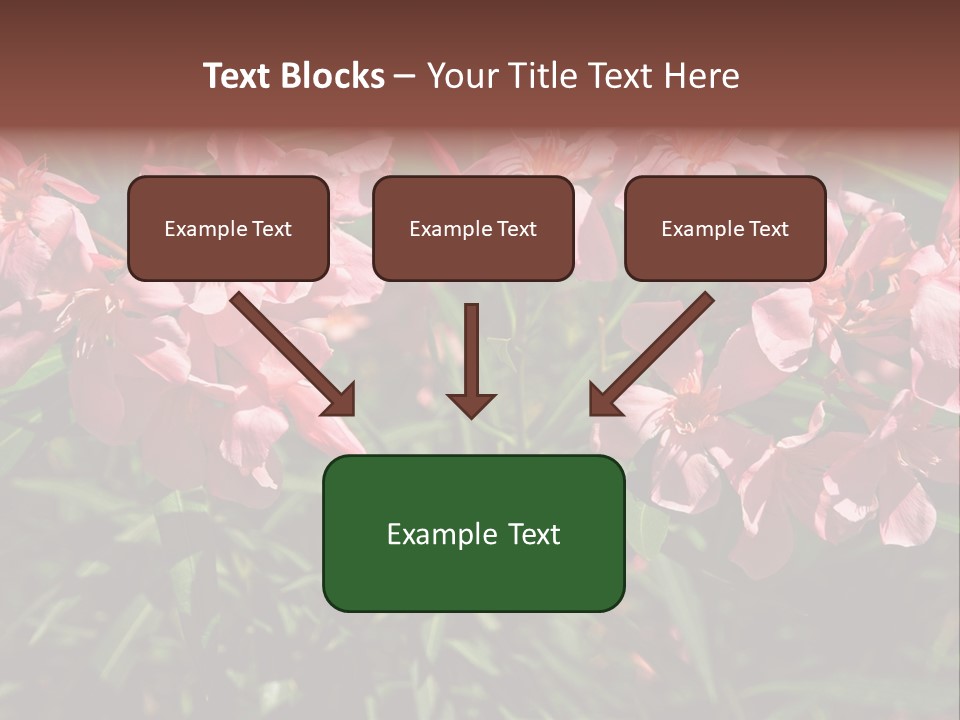 Colourful Plant Postcard PowerPoint Template