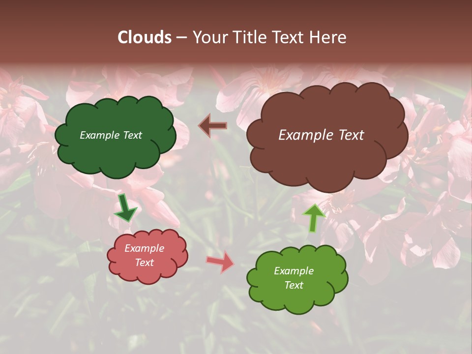 Colourful Plant Postcard PowerPoint Template