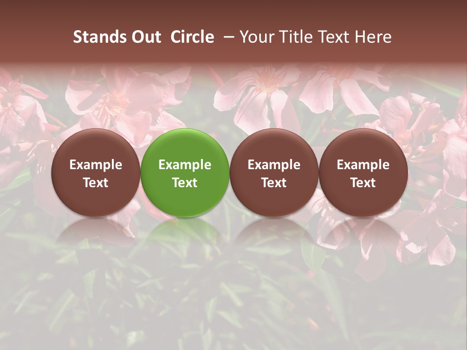 Colourful Plant Postcard PowerPoint Template