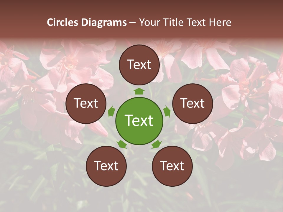 Colourful Plant Postcard PowerPoint Template