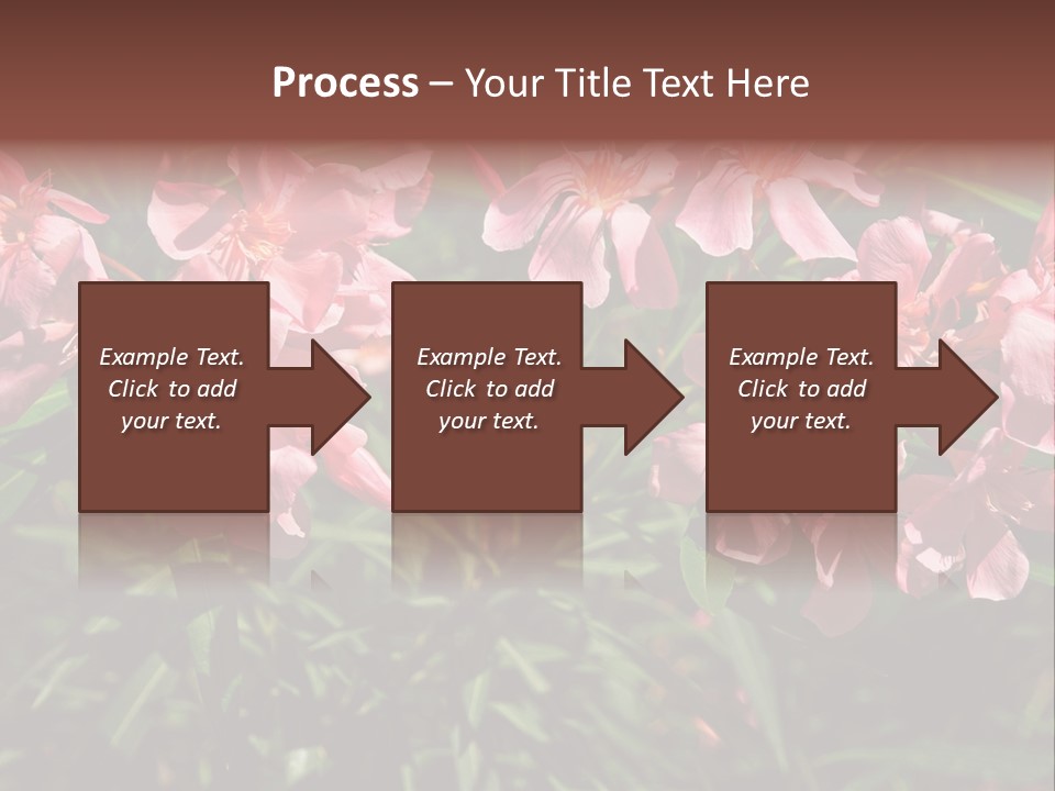 Colourful Plant Postcard PowerPoint Template