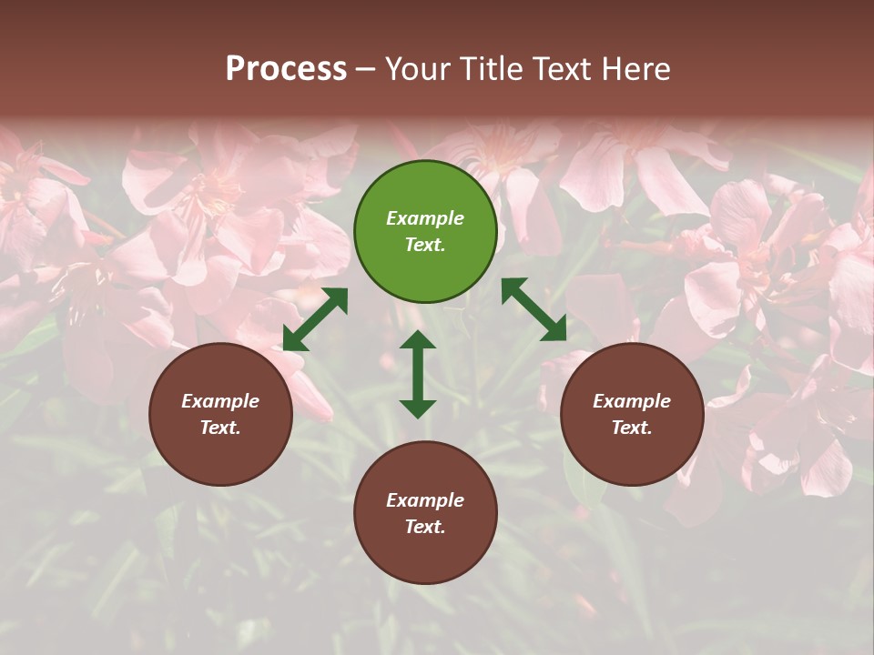 Colourful Plant Postcard PowerPoint Template