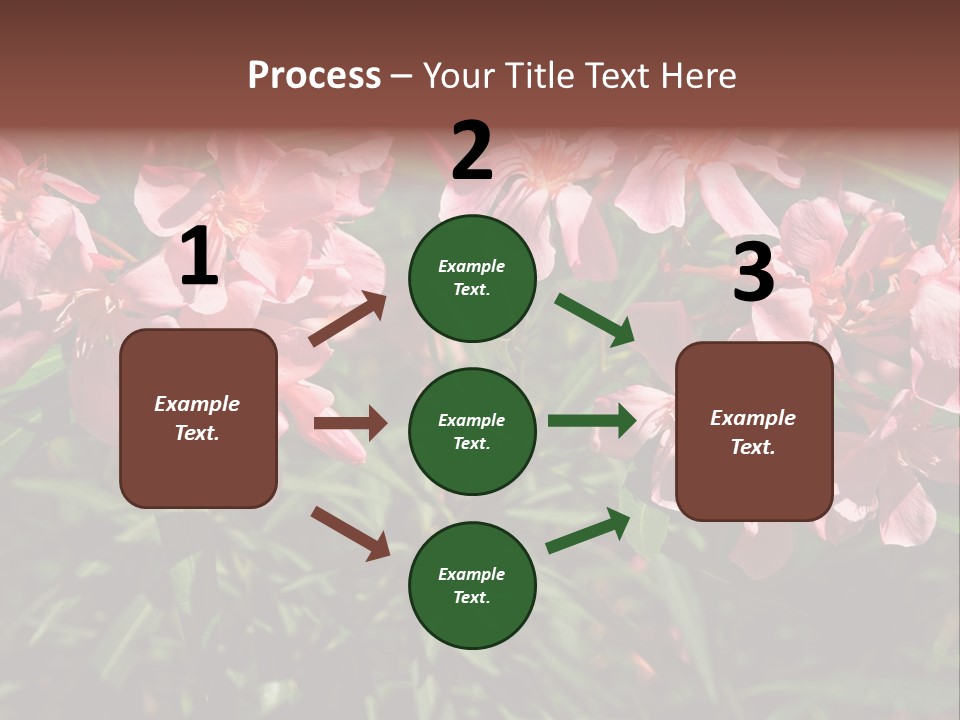 Colourful Plant Postcard PowerPoint Template