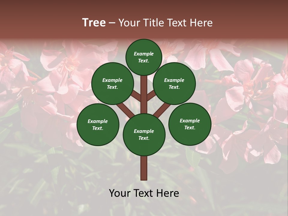 Colourful Plant Postcard PowerPoint Template