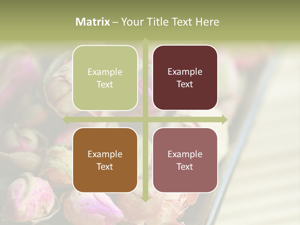 Rose Buds Rose Tea No People PowerPoint Template