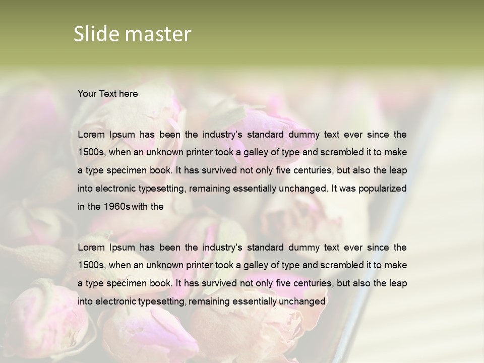 Rose Buds Rose Tea No People PowerPoint Template