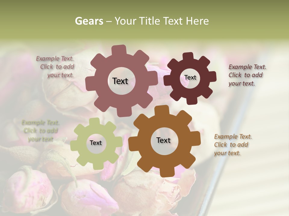 Rose Buds Rose Tea No People PowerPoint Template