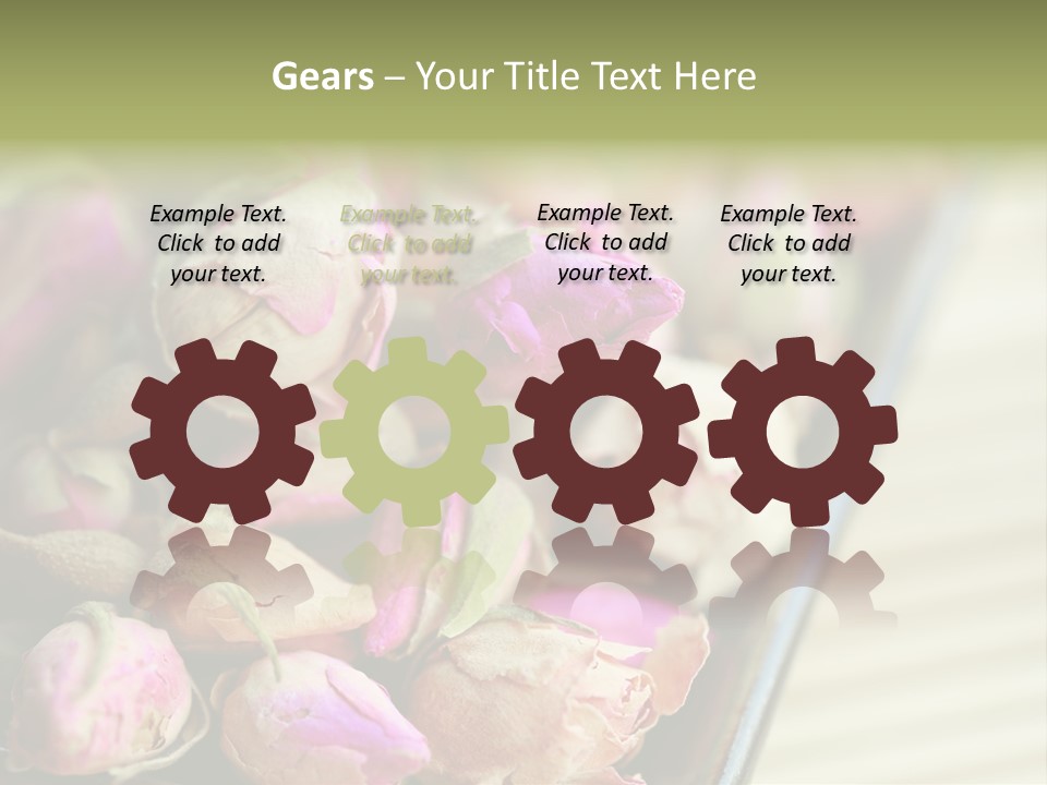 Rose Buds Rose Tea No People PowerPoint Template