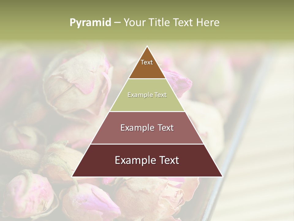 Rose Buds Rose Tea No People PowerPoint Template