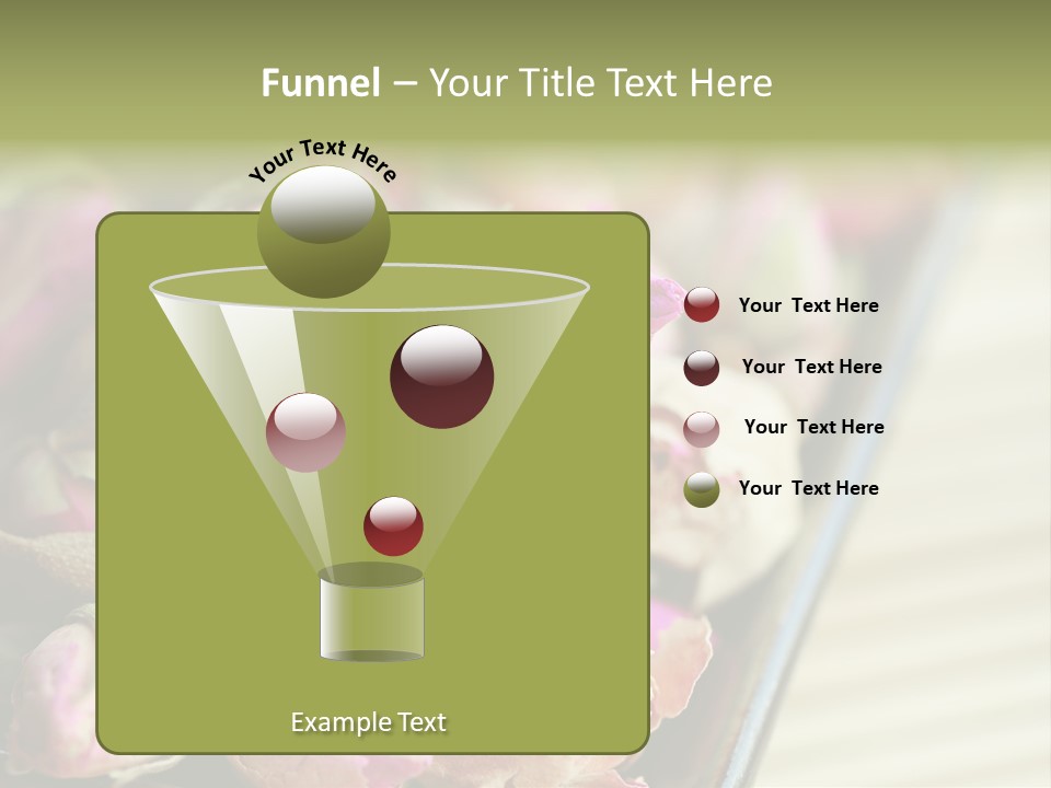 Rose Buds Rose Tea No People PowerPoint Template