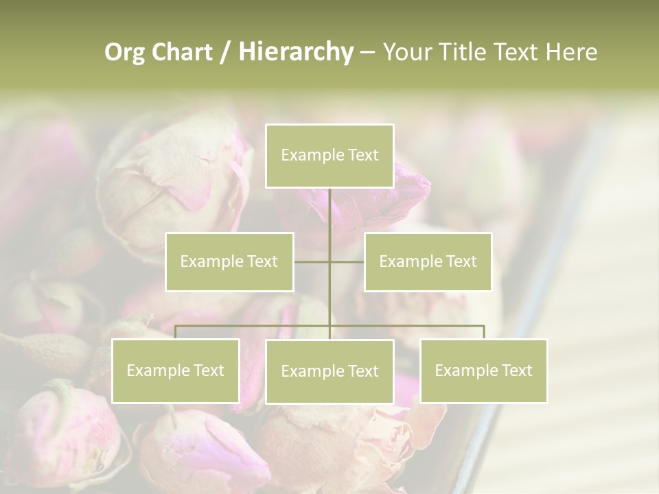 Rose Buds Rose Tea No People PowerPoint Template