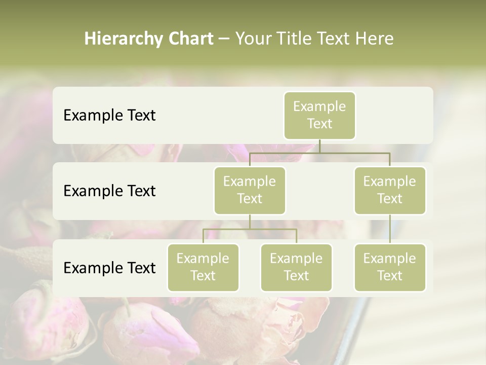 Rose Buds Rose Tea No People PowerPoint Template
