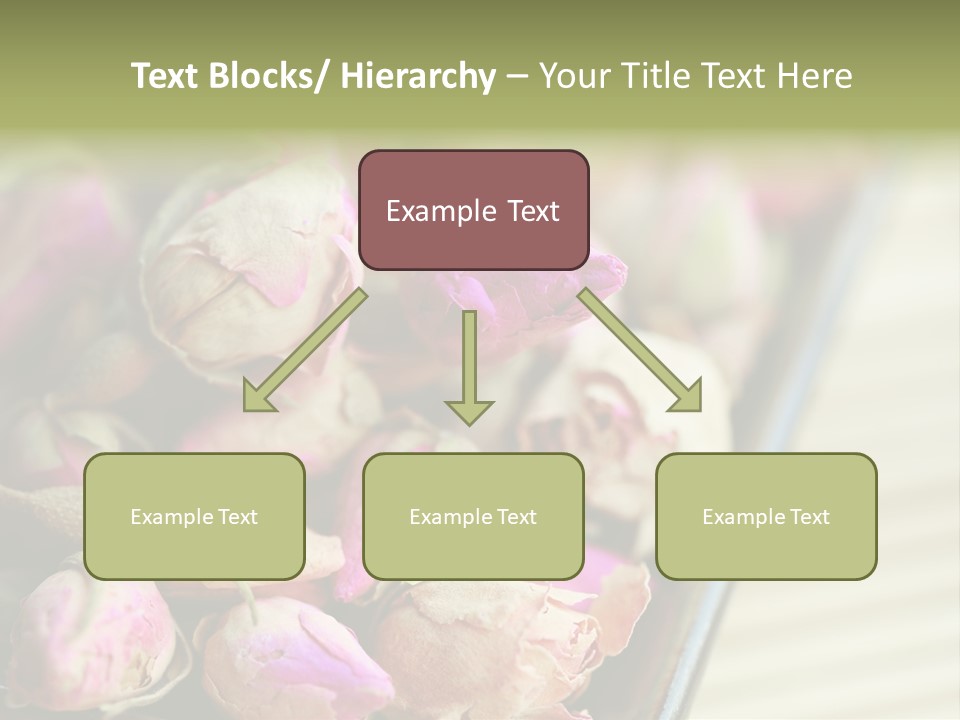 Rose Buds Rose Tea No People PowerPoint Template