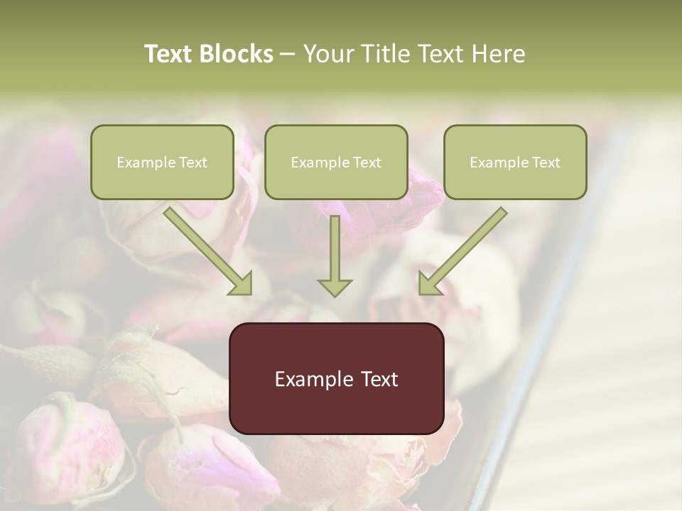 Rose Buds Rose Tea No People PowerPoint Template