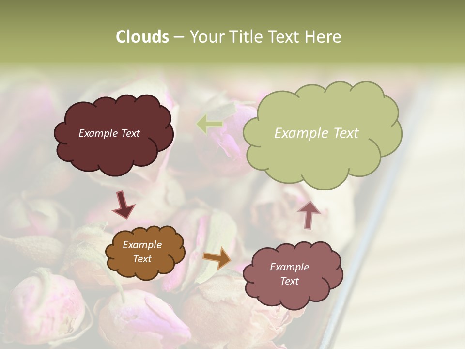 Rose Buds Rose Tea No People PowerPoint Template